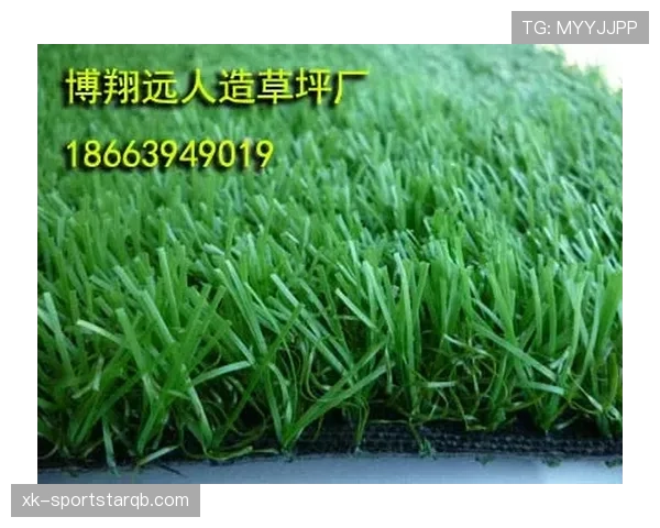 人工草场比赛中常见规则限制及判罚细节全解析